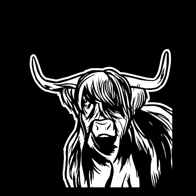 Boeuf Great Highland Cattle