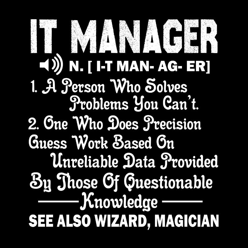 IT Manager IT Manager Definition