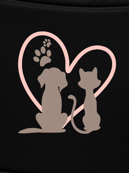 dog and cat