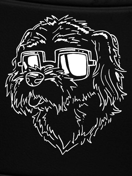 Havanese