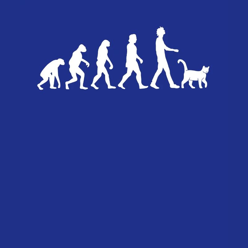 Katzen Evolution