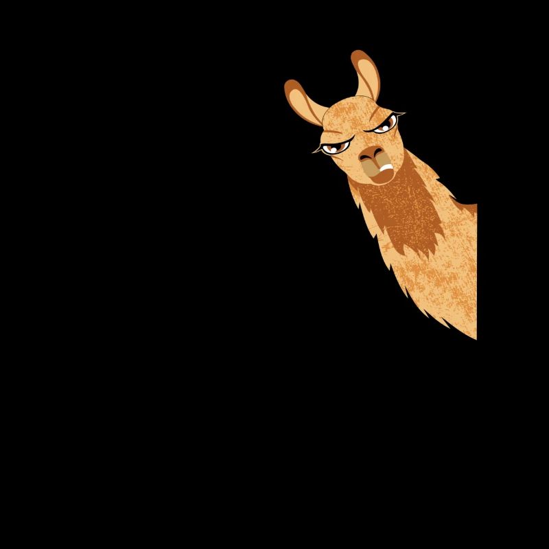 Alpaca Llama Gift Grumpy Llama Alpaca Look