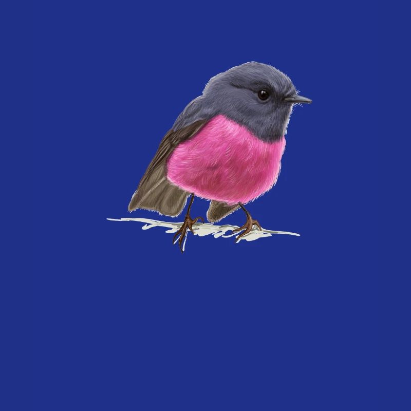 cool bird pink robin gift idea