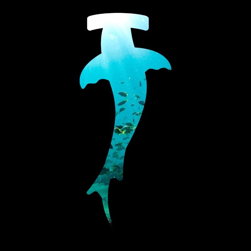Hammerhead diving