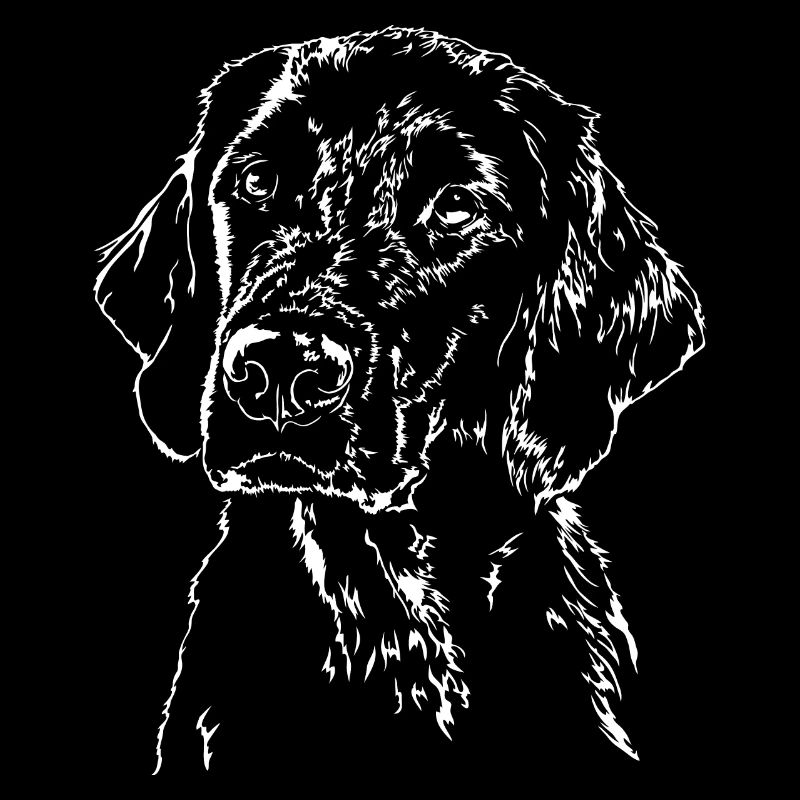 FLAT COATED RETRIEVER Hunde Hund Jagdhund Wilsigns