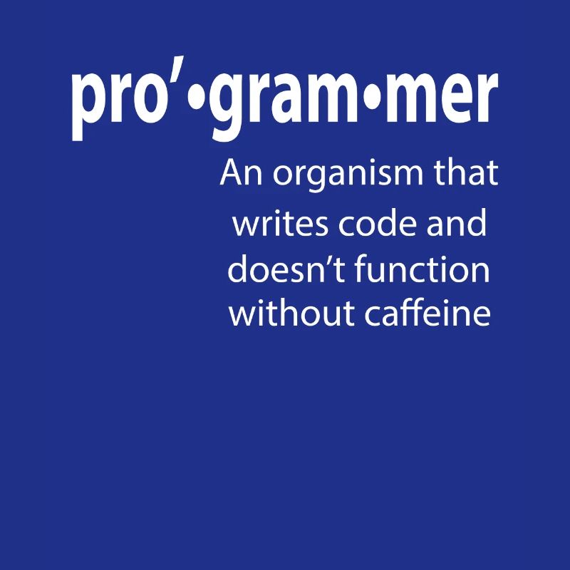 Programmeur - Coder - Hacker - IT