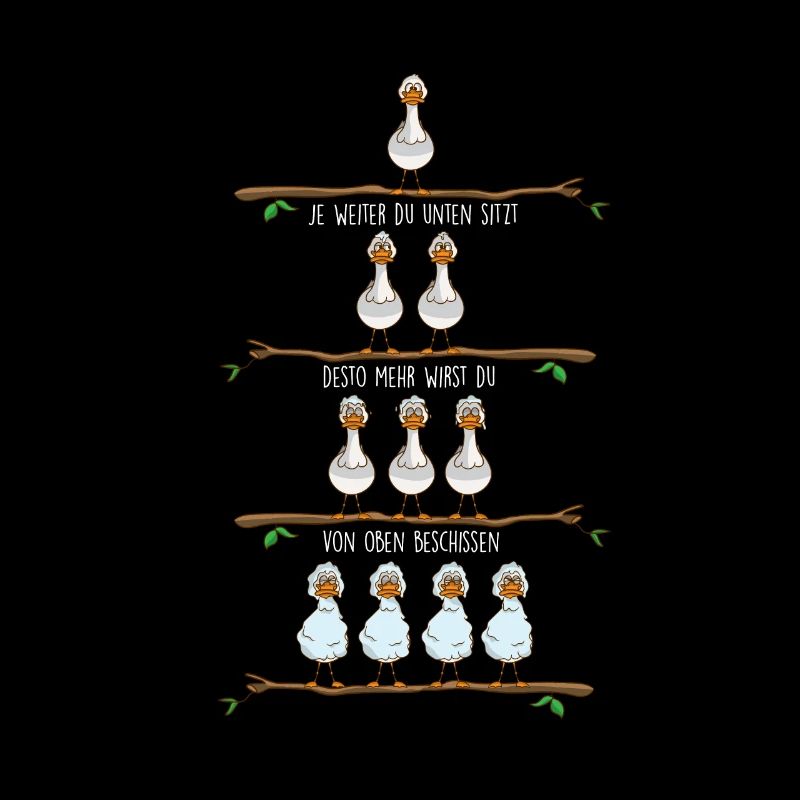 Seagulls hierarchy from above shoot North Germans