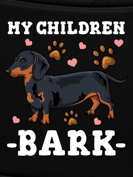 Dachshund