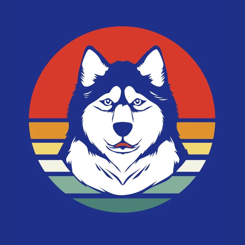 Malamute Schlittenhund