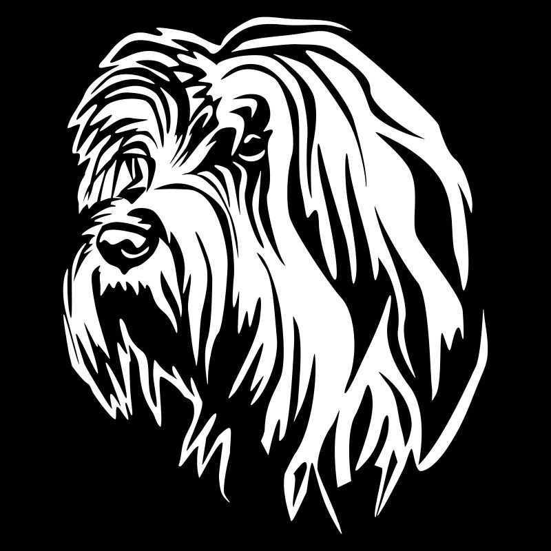 Gos d'Atura Catala Kopf "Black Edition"