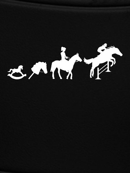 Evolution Springreiter Reiten