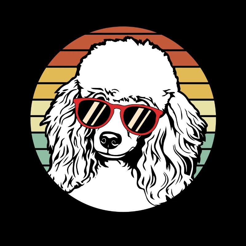 Caniche Caniche Nain Pudel Toy Caniche Petit chiot