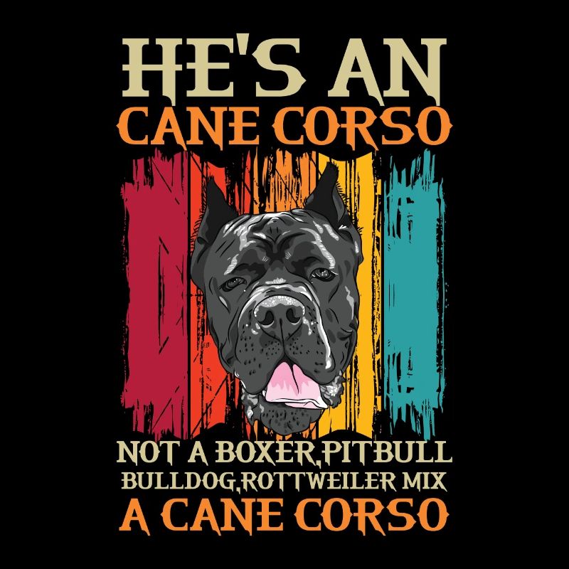 Cane Corso für einen Cane Corso Besitzer Cane
