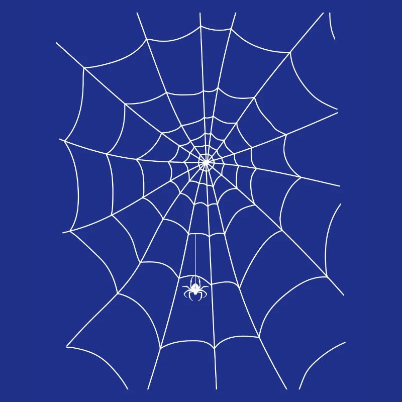 Spider web, spider, spider in the web