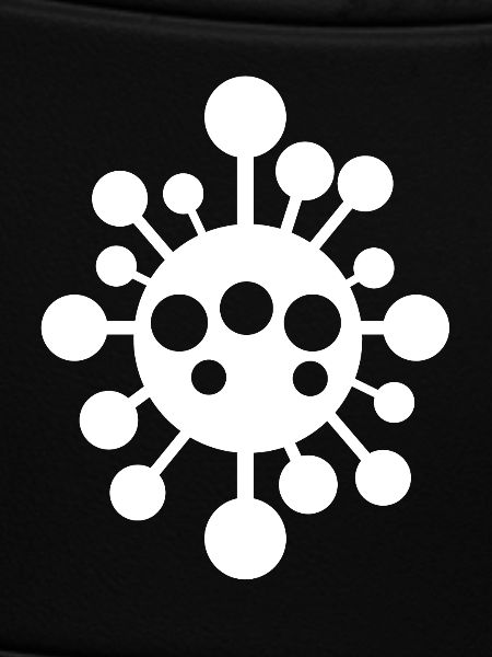 Virus Viruses Bacteria