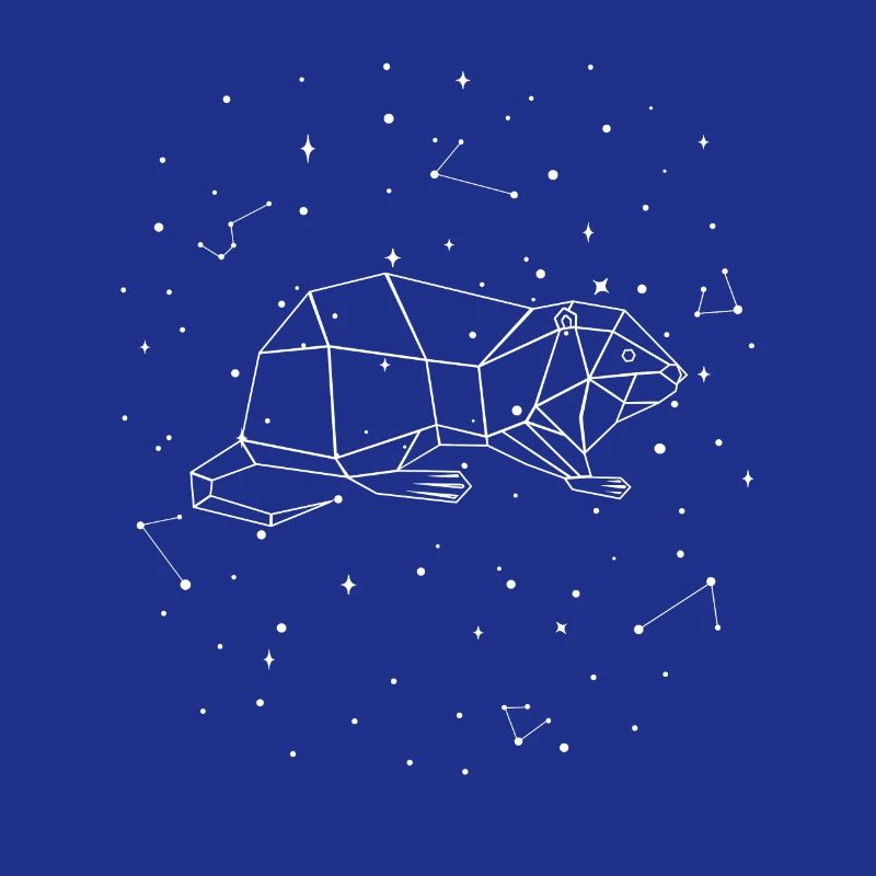 Constellation Nutria Constellation Nutria Castor