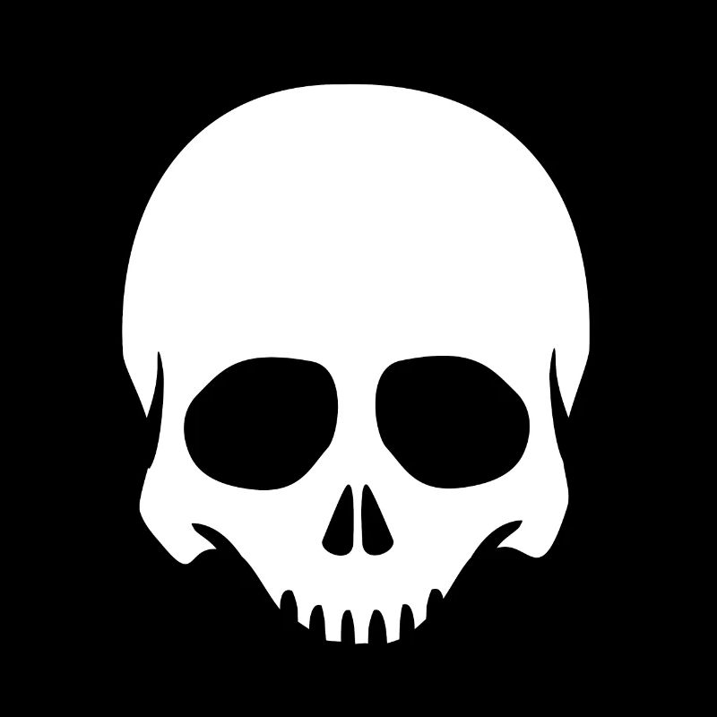 Skeleton Head Skull Skeleton