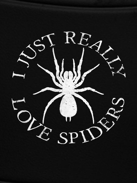 Spiders