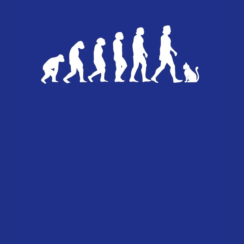 Cats Evolution