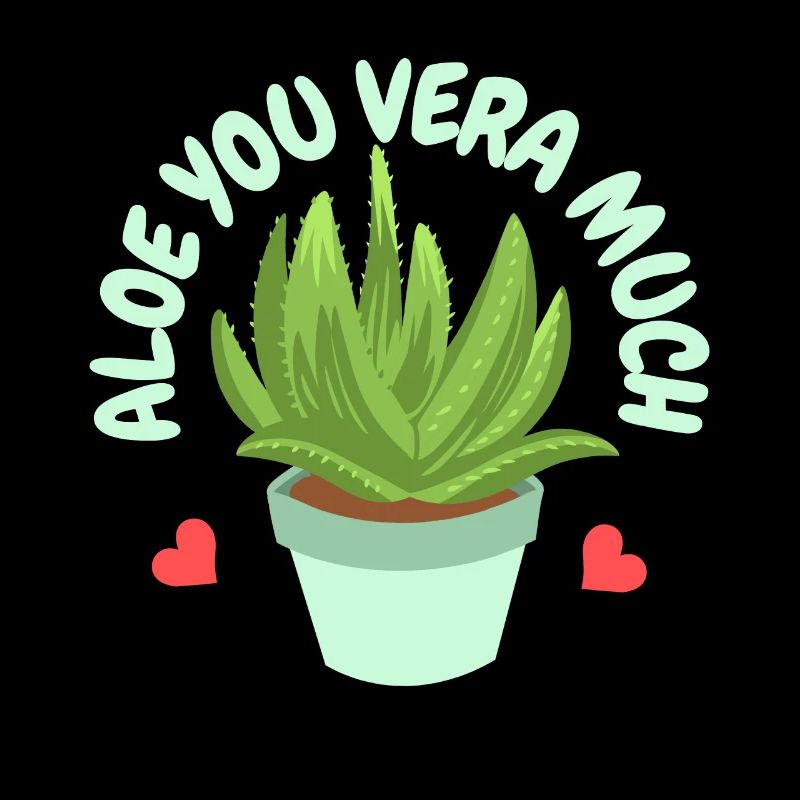 Aloe Vera Succkulente