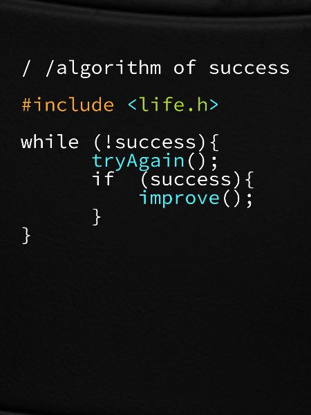 Développeur Programmeur succès Coder