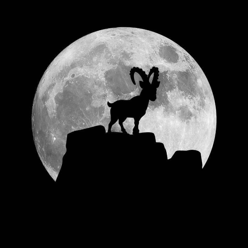 Mond Steinbock