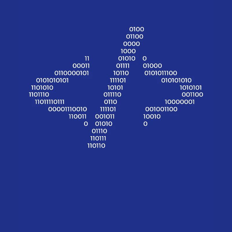 Hacker Hacking Code Computer Java Spruch Geschenk