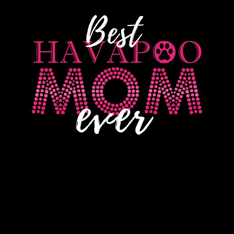 havapoo, havapoo havapoo sky, poodle hybrid,