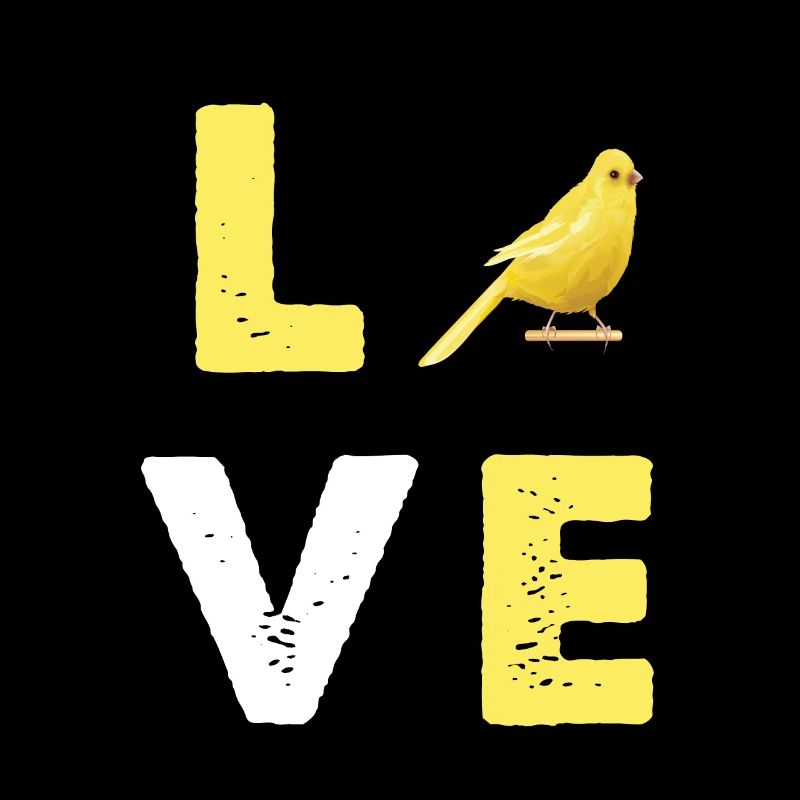 Canaris oiseau de compagnie Canari oiseaux Oiseaux