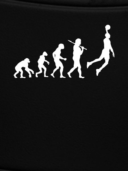 Evolution Basketball
