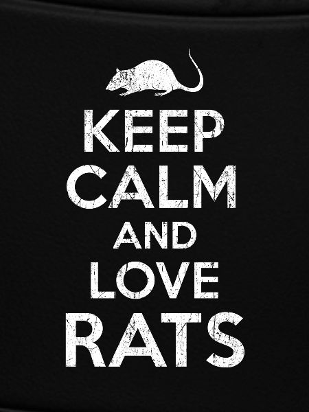 rats