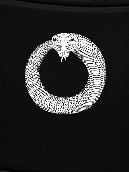 Ouroboros Snake