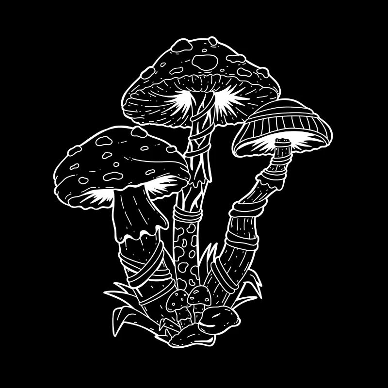 Pilze LSD Party Drogen Acid