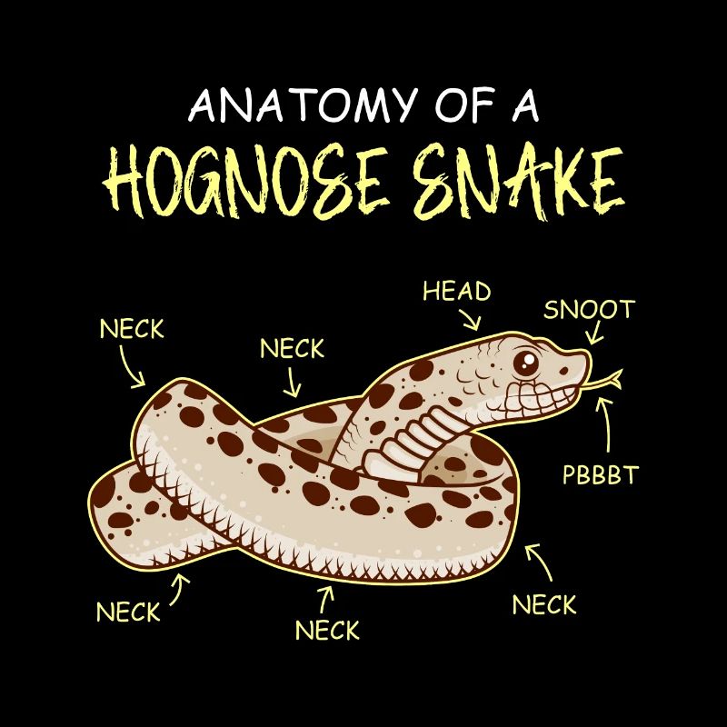 Anatomy Snake Hook-nosed Snake Snake