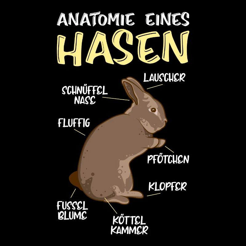 Anatomie d’un lapin Rongeur lapin