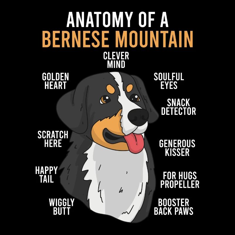 Anatomie d’un chien de mer bernois propriétaire de chien