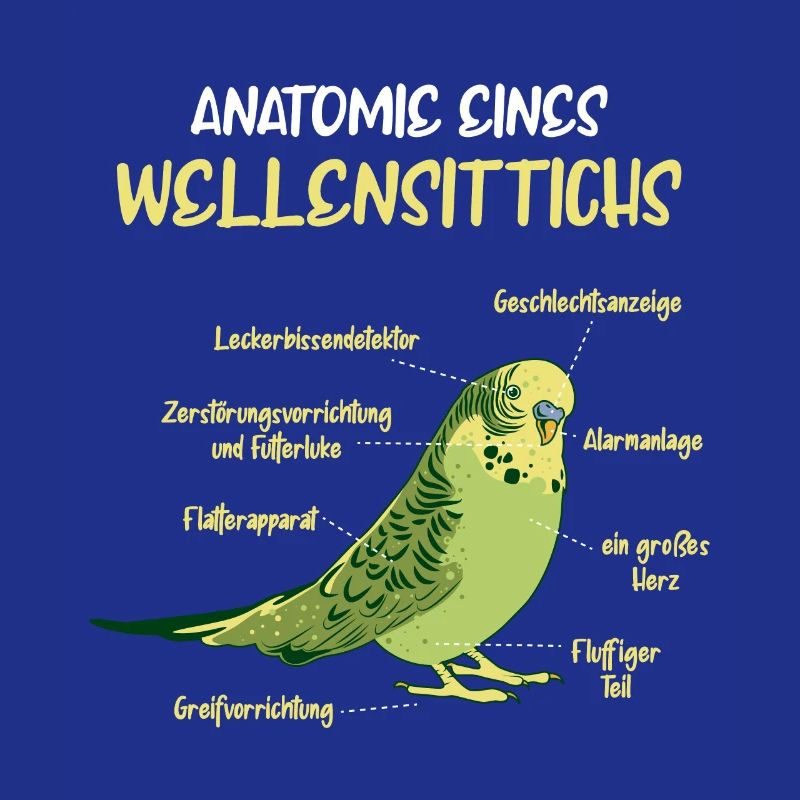 Anatomie d’une perruche à perruche