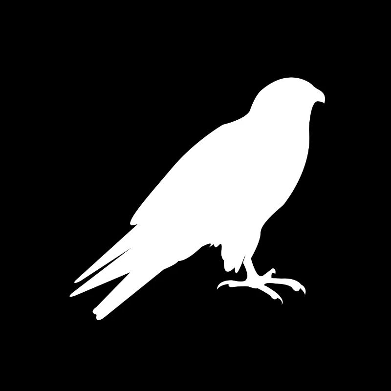 Bird Silhouette Birds