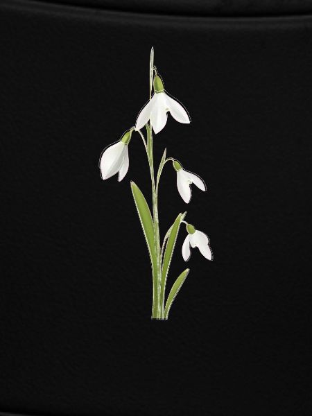 Snowdrop
