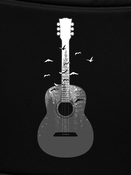 Guitar acoustics