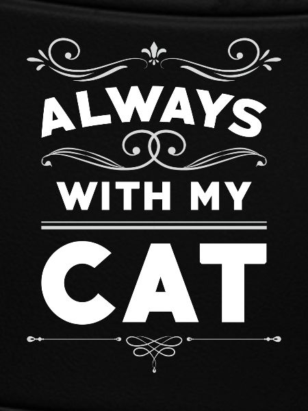 Immer mit meiner Katze