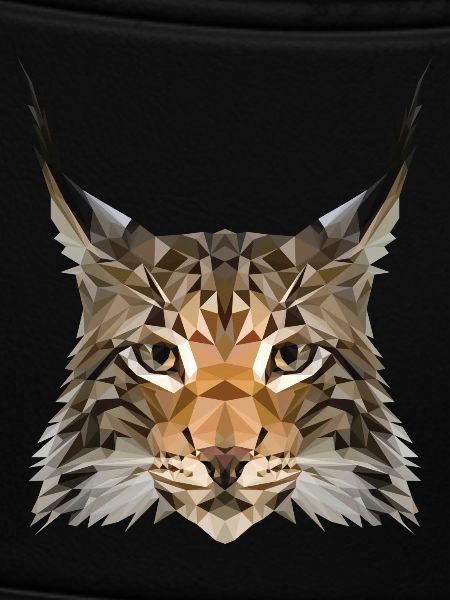 Lynx ears