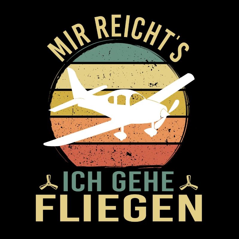 Modellbau Flugzeug Modellflug