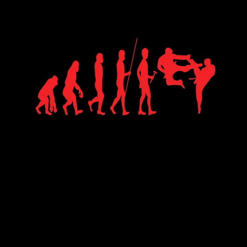 Karate Evolution