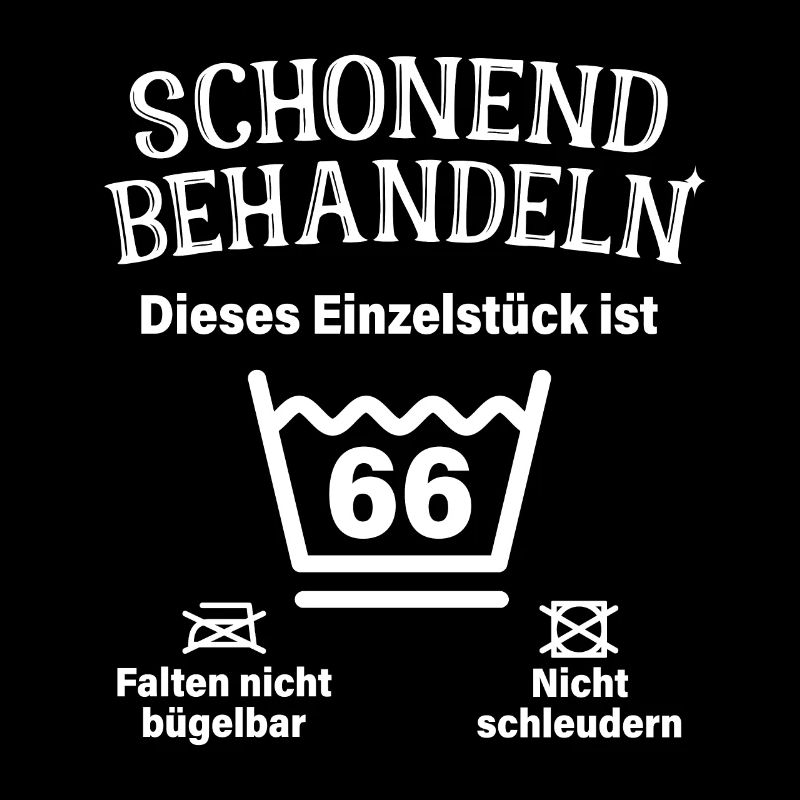 Schonend Behandeln 66. Geburtstag Einzelstück 66