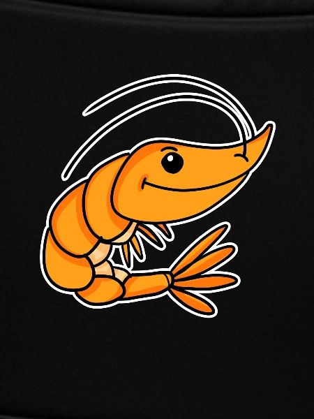 Shrimp