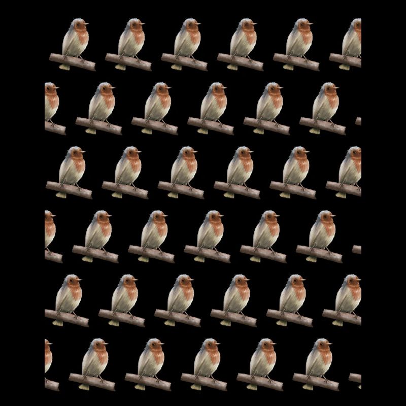 Robin Bird Friend Gift