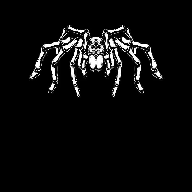 Spider lovers - big spider