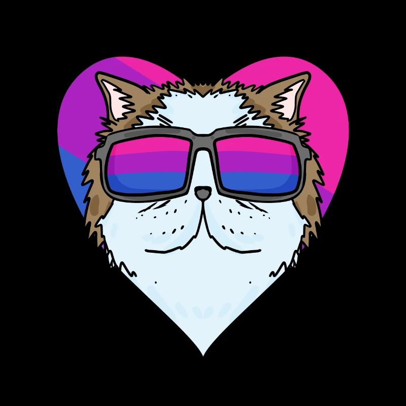 Chat persan bisexuel - Chat avec lunettes