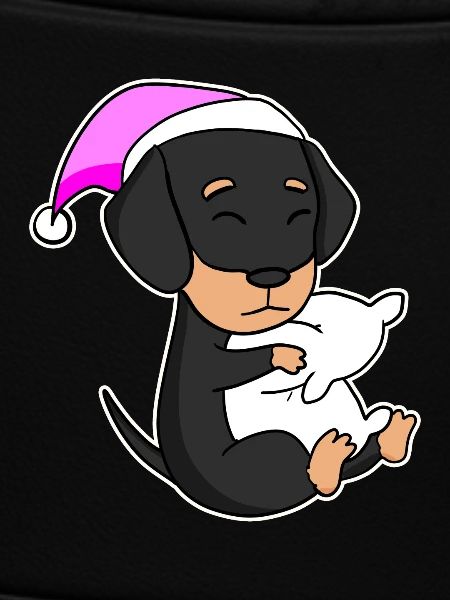 Hund Hunderasse Dackel